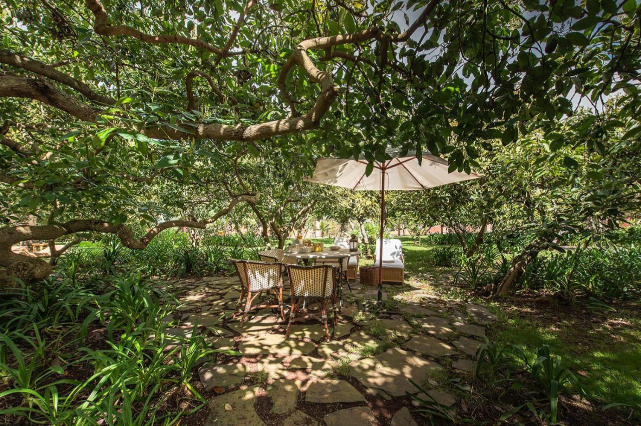 Homeforguest Rural House With Garden El Laurel Такоронте Екстер'єр фото