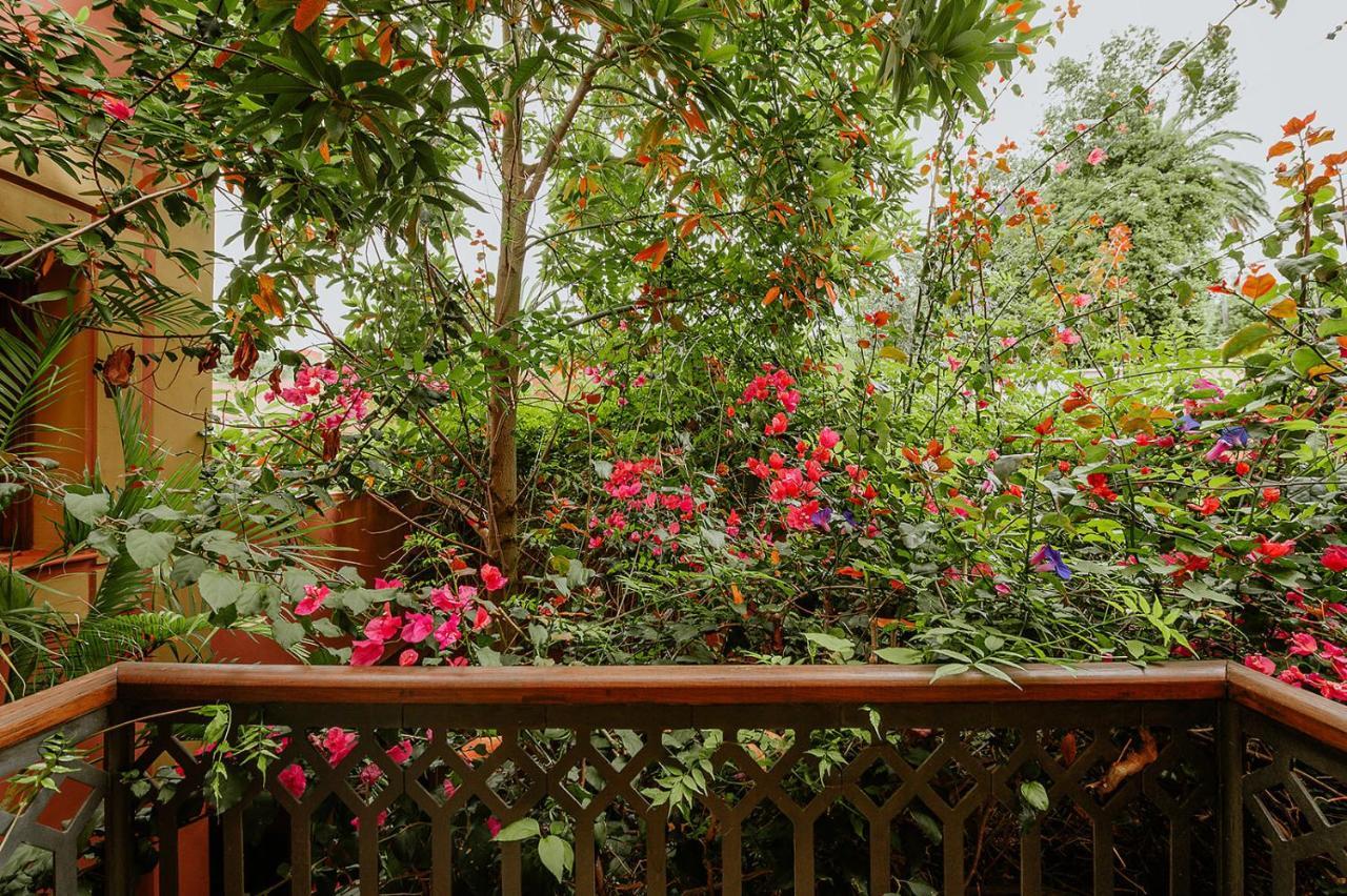 Homeforguest Rural House With Garden El Laurel Такоронте Екстер'єр фото