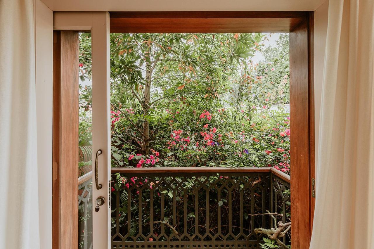 Homeforguest Rural House With Garden El Laurel Такоронте Екстер'єр фото