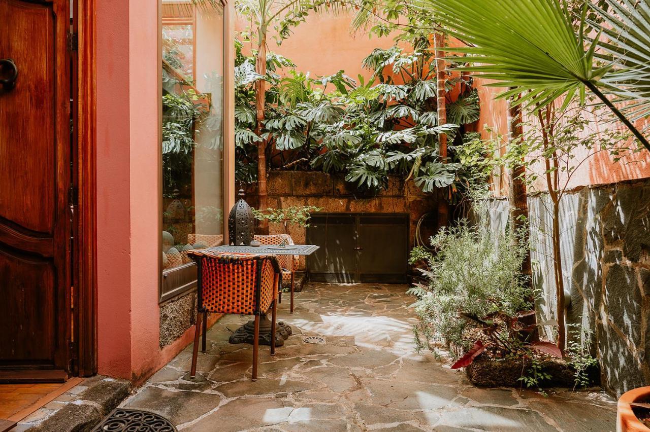 Homeforguest Rural House With Garden El Laurel Такоронте Екстер'єр фото